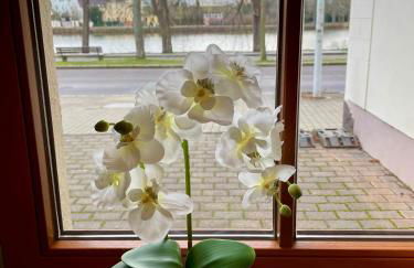 Ferienwohnung Teichidyll Altenburg - Foto 17