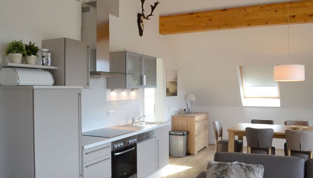 Spacious, Modern Apartment Near the Centre - Foto 5, Cocina privada