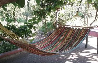 La Casa Dell'antiquario - Foto 21