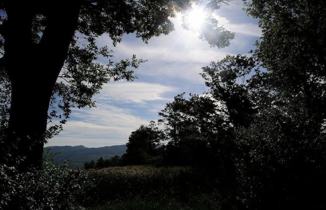 Agriturismo i Monti - Foto 28