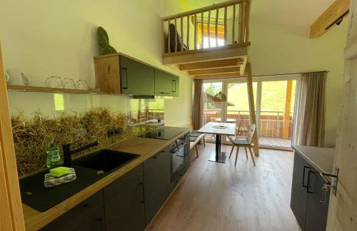 Stadl Lodge Hinterstein - Skipass im Winter und Bergbahnen im Sommer inklusive - Foto 39