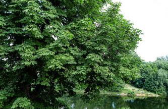 Haus Seeblick - Foto 10