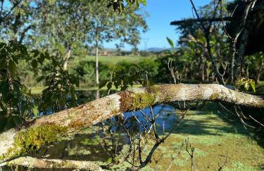 Rancho Refugio Verde AL - Foto 44