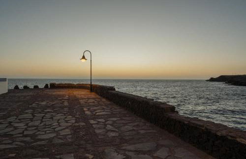 LAR Tamaduste - Foto 15