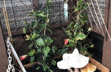 Bayside 1st Floor OC 2 br/1ba pool condo close to Jolly Roger/Convention Center - Foto 20