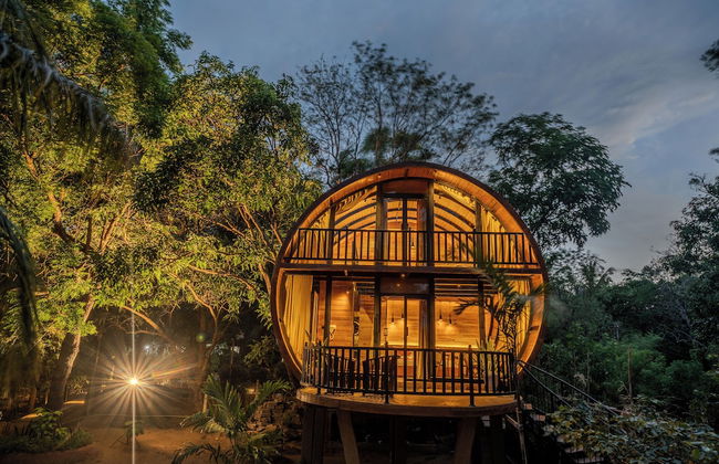 Woodland Sanctuary - Photo 32