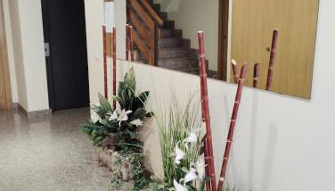 Apartamento ROMA - Foto 3