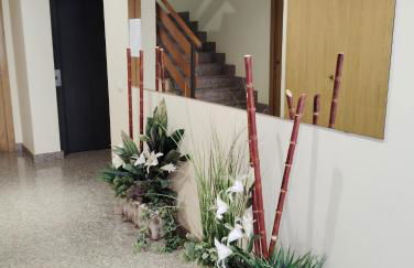 Apartamento ROMA - Foto 3