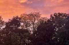 Briary Cottages at Iletts Farm - Photo 24