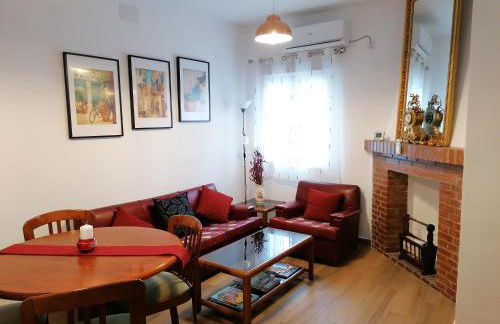 Apartamento Ceclavín - Foto 13