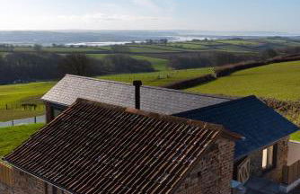 Springfield Linney - Foto 18