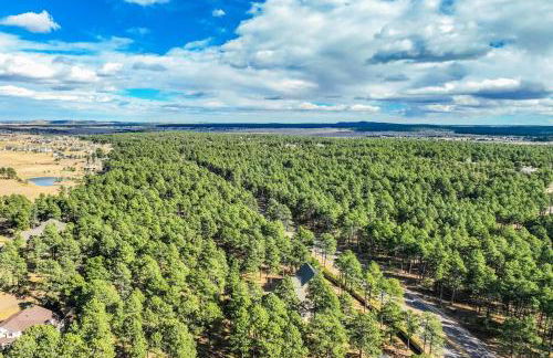 Luxury Retreat with Hot Tub Fire Pit & Forest Views - Foto 68