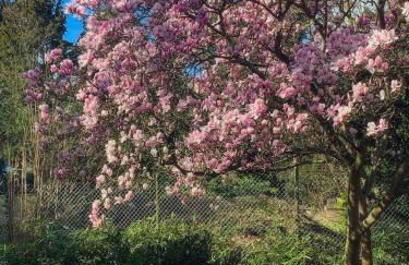 Nostalgie-Loft - Foto 22