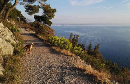 Alla Cantina - Foto 28