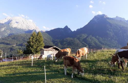 Klettnerlehen - Foto 36