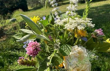 Agriturismo Campolungo - Foto 78