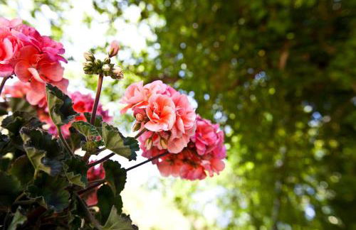 Relais Parco Del Subasio - Photo 45