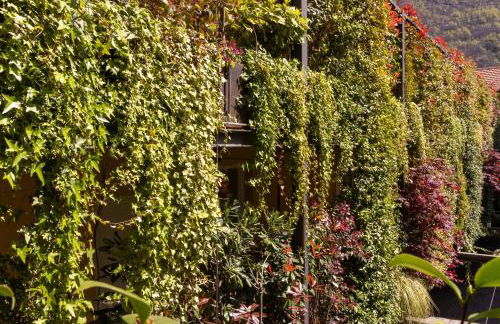 Residence Casa Coppa Appartamento Ivy - Foto 23