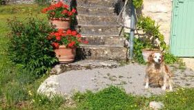 la Metairie - Foto 2