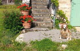 la Metairie - Foto 2