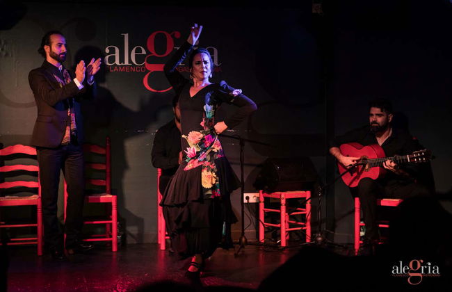 Espetáculo de flamenco no Alegría - Foto 14