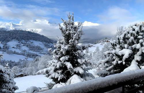Logement 3 étoiles avec vue imprenable sur les montagnes, ski bus - Photo 30