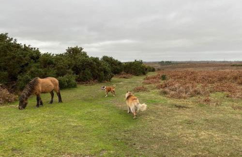 The Swish-New Forest Retreat BALCONY WITH VIEWS - Foto 26