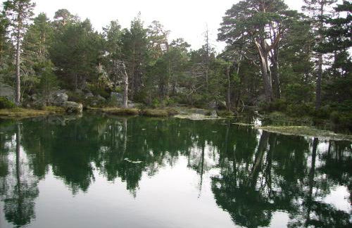 Los Ranchales Vinuesa - Foto 33