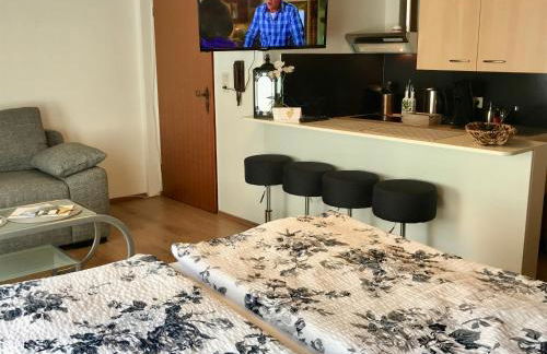 Fewo Zur Goldenen Traube - Foto 56