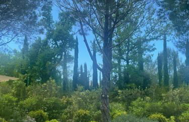 Villa Qalaisie - Luxury Villa for 16 on Terre Blanche Golf Estate - Foto 37