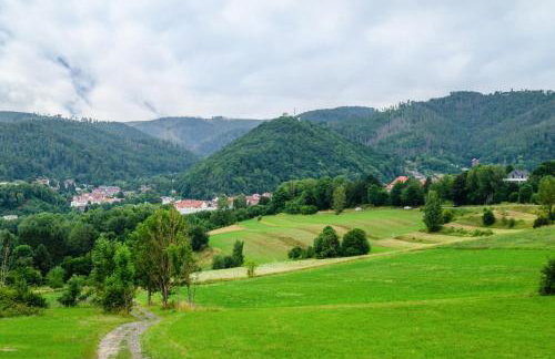 Haus am Rand des Harz - Photo 35