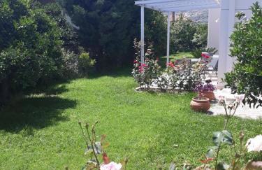 Aloe Apartment in Epidaurus - Photo 17