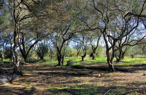 Sia's Holiday Home - Foto 34