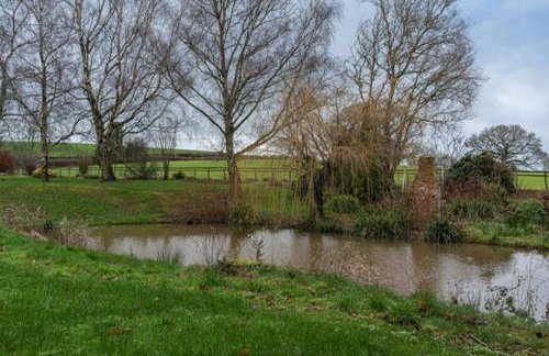 Luxury country oak beamed peaceful retreat - Photo 12