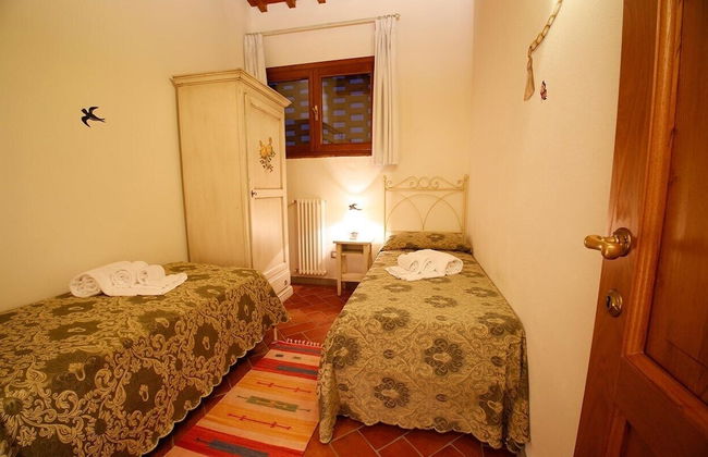 Gatto Bianco Tizzauli - Foto 6