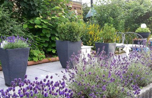 Haus Harzer Bergblick all inklusiv Sauna Whirlpool - Foto 27