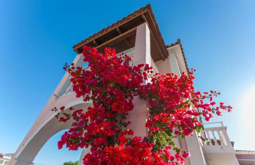 Margarita Resort - Foto 57