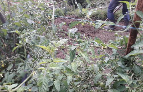 Gite Au Pré du Mont st michel - Foto 48
