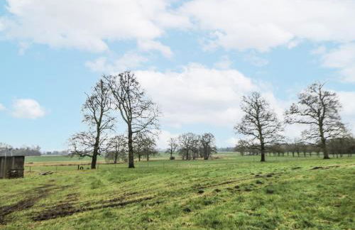 Courtyard View - Photo 36