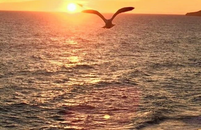 Albufeira - Apartment - Sleeps 4 - Seaside - Foto 22