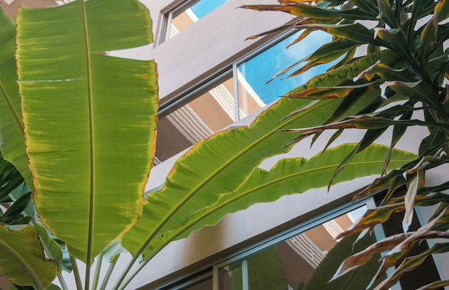 Las Rochas Mindelo - Foto 1