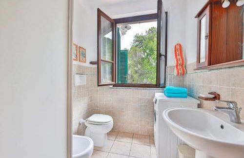 Cotoncello in una posizione panoramica - Goelba - Foto 16