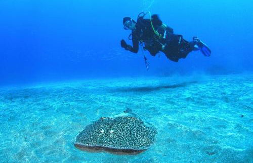 Casa Maresía Penthouse - Pool & Beach - Foto 37