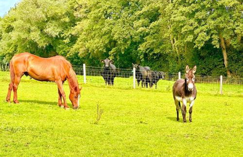 Fox Acre Lodge - Amazing Views - Foto 26