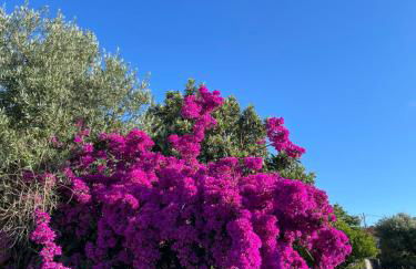 Casa Valverde - Foto 58