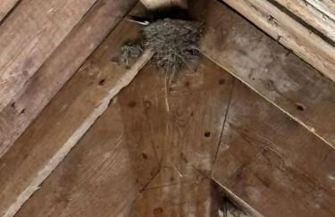 The Swallows Rest, Avebury - Foto 52