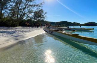 Flamboyant - Foto 10