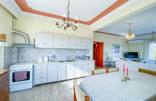 Country Home Genesi 20 min from Trikala - Foto 19