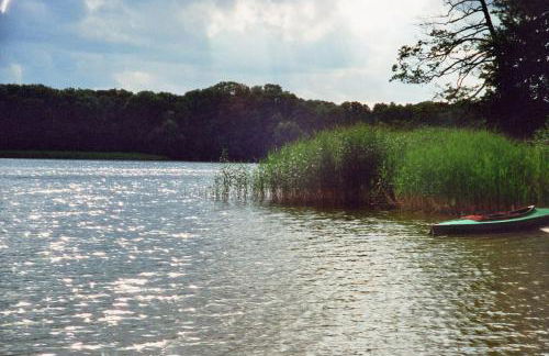 Ferienwohnung Siebmann - Foto 36