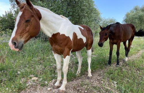 Novecento Country House - Foto 56